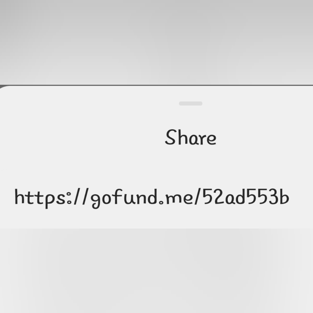 David's Gofundme - Picture 2 of 4